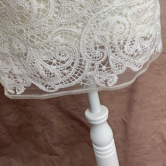 TopShop Ivory Lace Mesh Dress - Picture 4 of 9